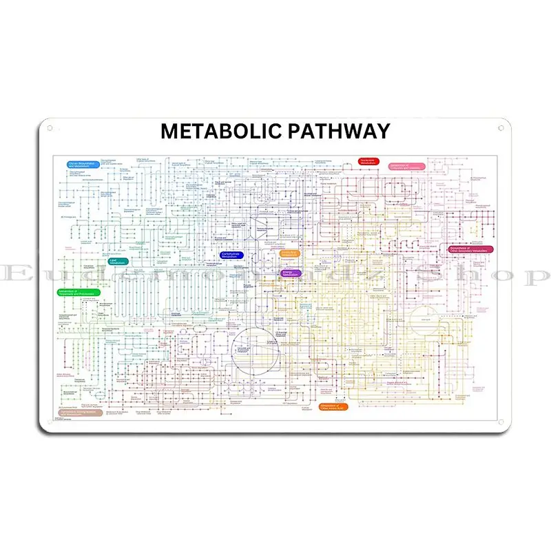 Metabolic Pathway Map Metal Sign Club Designer Designing Home Club Tin Sign Poster