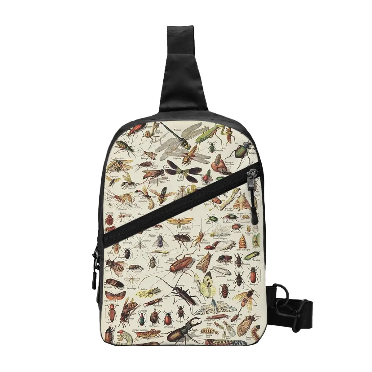 Insects Chart. Scientific Illustration, Text In French Chest Bag Men Sling Crossbody Backpack Chest Bag Daypack Shoulder Bag