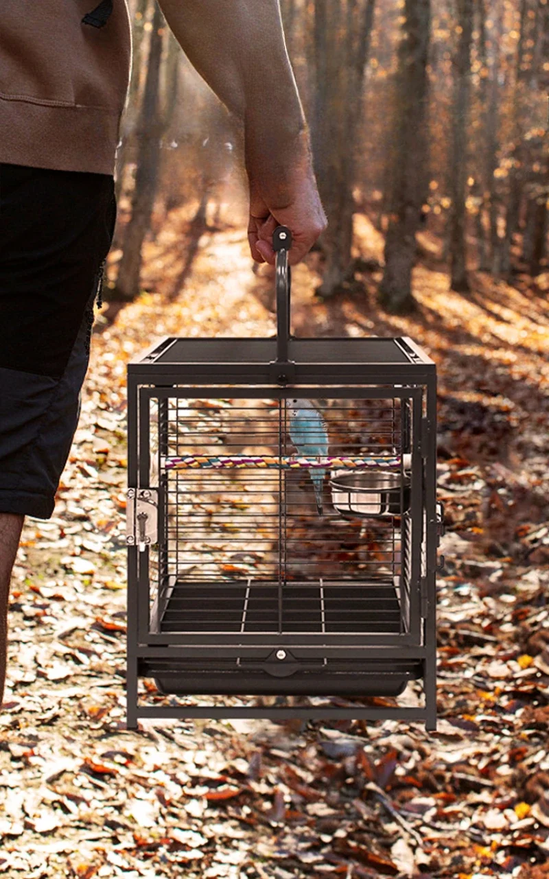 

Direct Sales Parrot Quality Home Take Out Iron Birdcage Xuan Feng Peony Tiger Skin Pearl Bird Cage A60