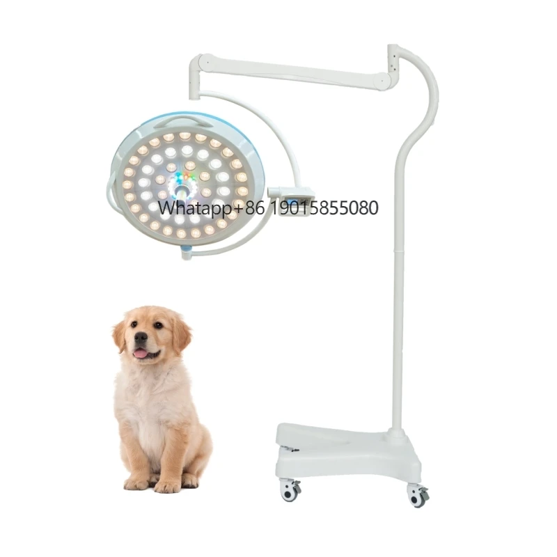 

CE ISO Certification LED Surgical Lights Lamp Surgical Operating Lamp Veterinary Surgery Light