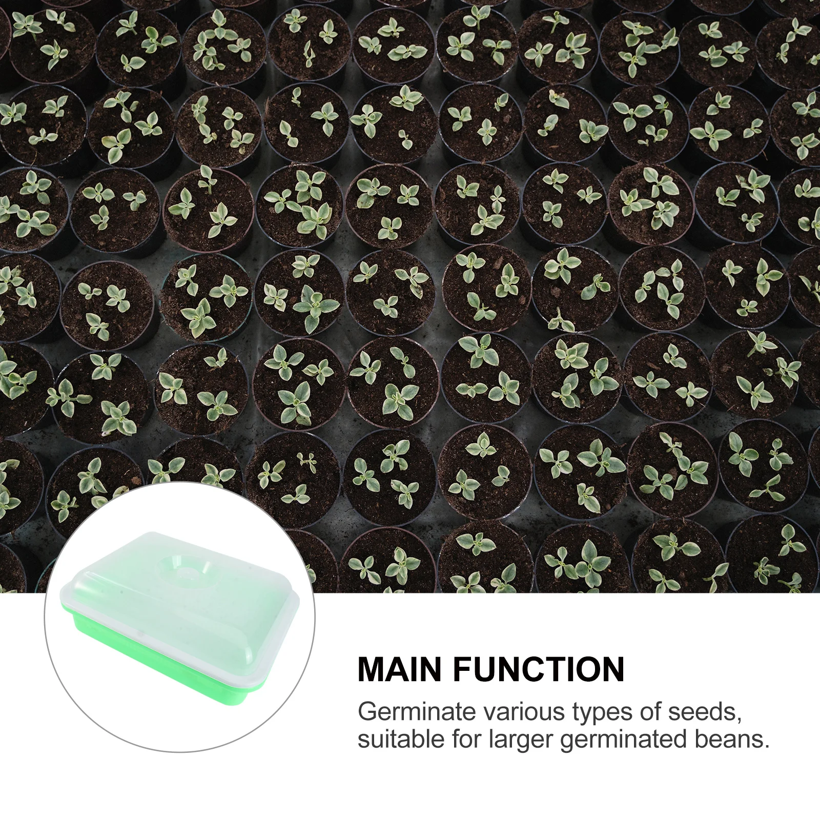 1 قطعة صينية الشتلات مع غطاء لزراعة الحديقة بدون تربة معدل إنبات عالي نمو سريع وعاء الحضانة زراعة الخضروات المنزلية