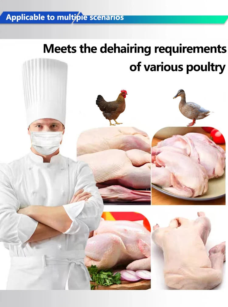 2025 معدات ذبح الدواجن الكهربائية آلة نتف ريش الدجاج والبط والأوز