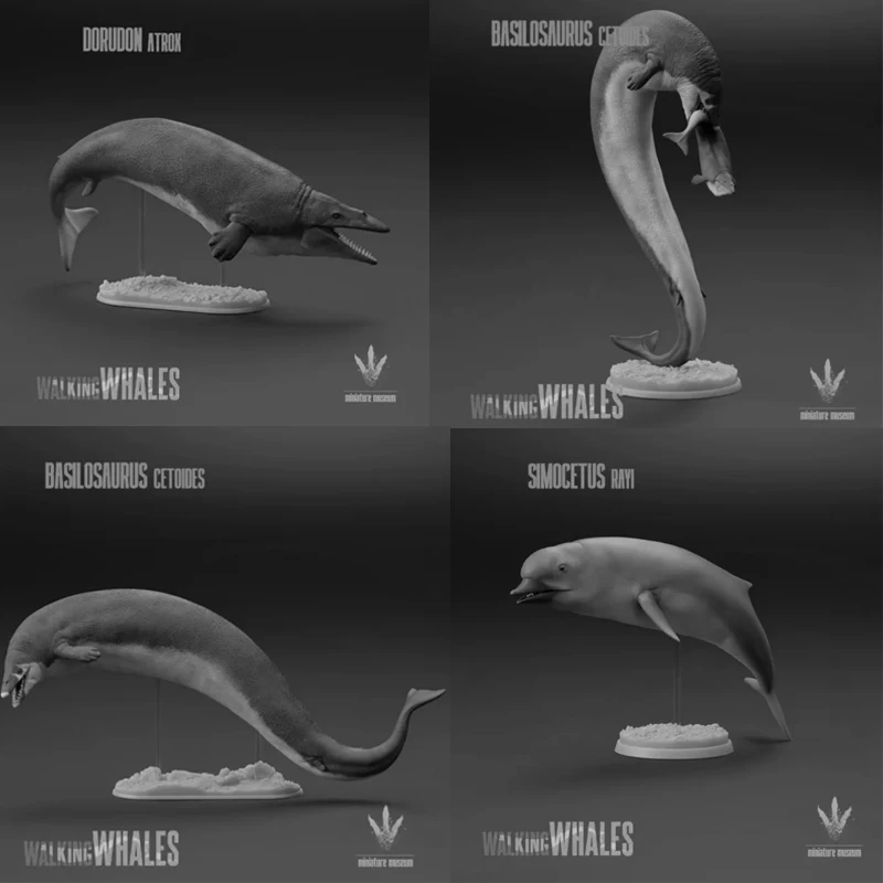 

Модель-игрушка Dorudon atrox Basilosaurus, 1/35, 15 см, современная модель животного, GK, на заказ, 3D-печать