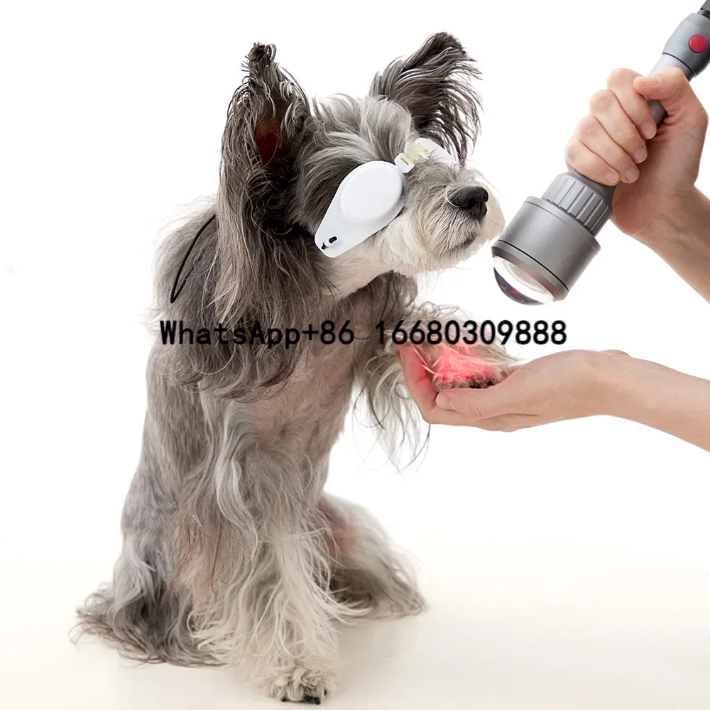 

Rheinlaser 20w 30w 980nm Laser Therapy Machine Physiotherapy Medical Device For Veterinary Cure