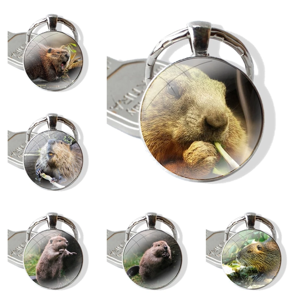 Keychain Glass Cabochon Metal Pendant Classic Men's Women's Keyring Beaver Zoo around The world Pattern