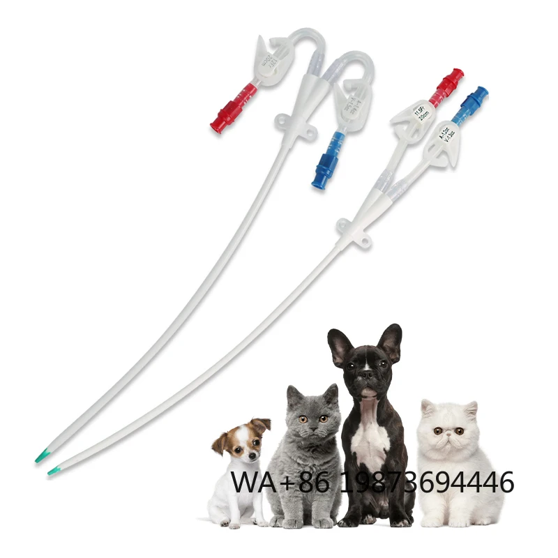 

Veterinary Hemodialysis Catheter Kit, Double Lumen Central Venous for Dogs & Cats