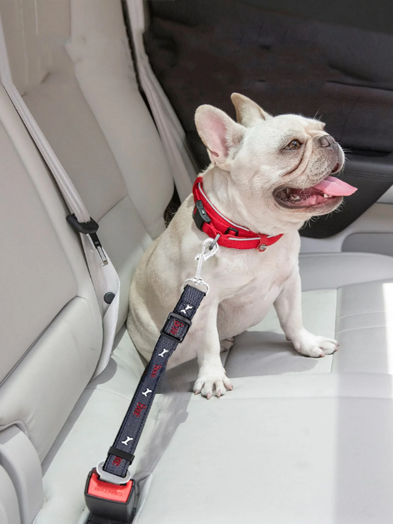 1pc-Car, pet, dog, cat, adjustable vehicle safety belt, safety belt, towing rope