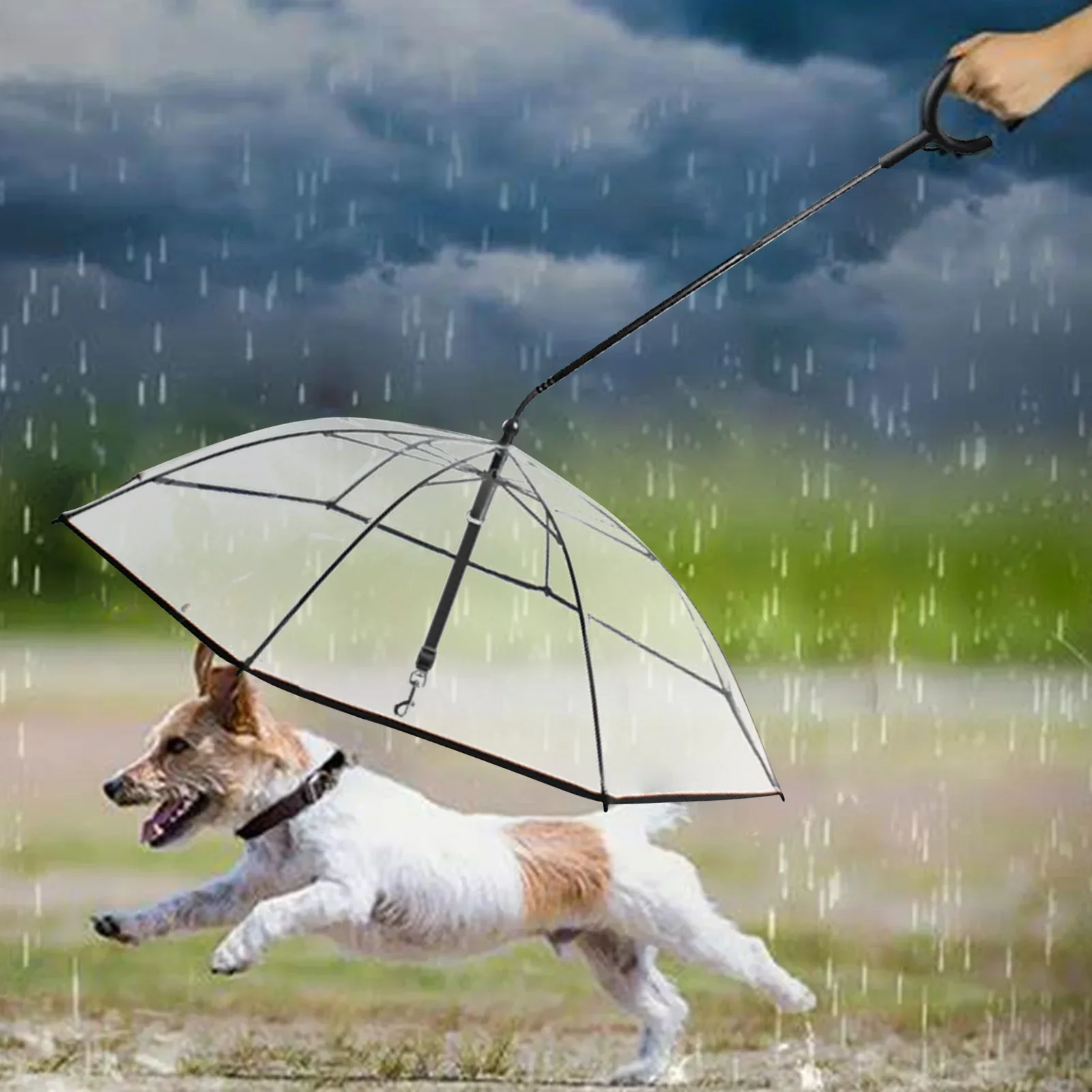 Transparent Adjustable Pet C-shaped Umbrella for Walking Pet in Rain or Snow Raincoats Dogs Umbrella Fast Delivery Dropshipping