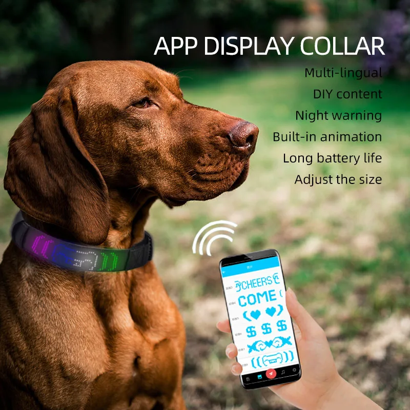 Digital Dog Interactive Programmable Bluetooth Scrolling Light Up Reflective LED Dog Collar Illuminated for Safety & Nighttime M