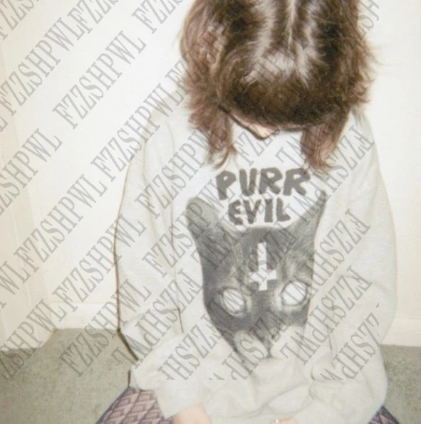 Retro Chic Casual Sweatshirt Classic Personality Bizarre Cat Print Pullover Fashion Winter High Street Hip Hop Y2K Punk Hoodie
