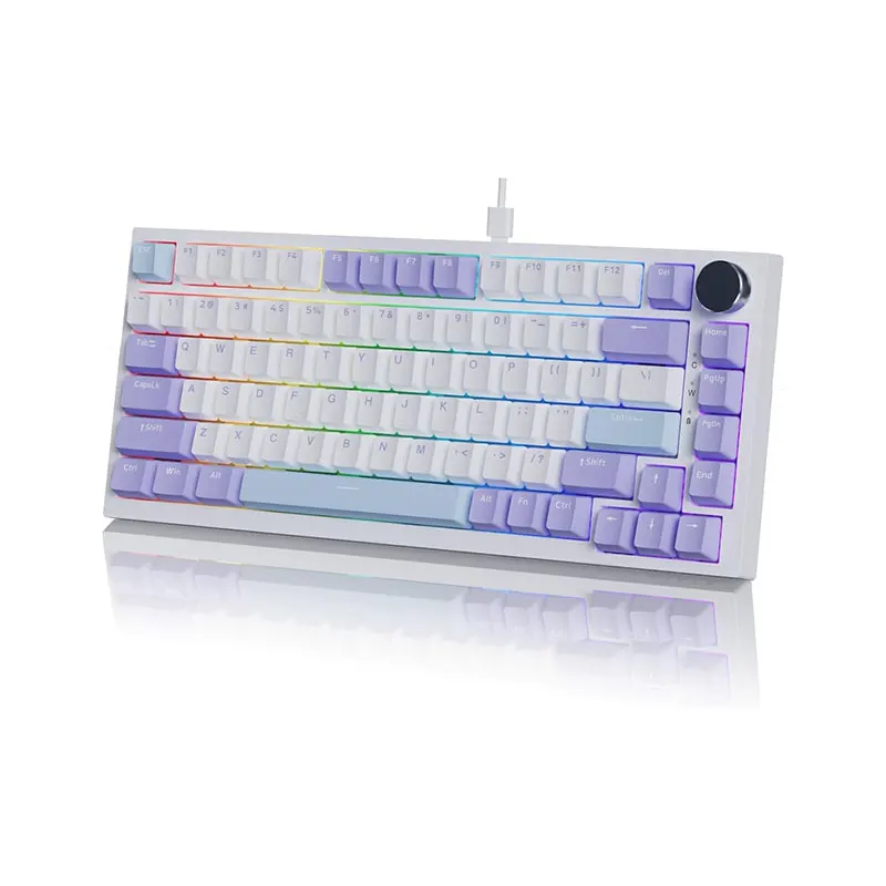 AK820 75% Wired RGB Gasket Mechanical Keyboard with Volume Knob PBT Keycaps Custom Programmable Hot-Swap Keyboard