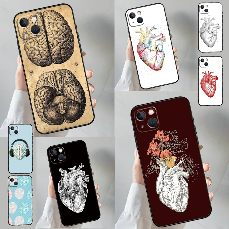 Human Heart Anatomy… - image