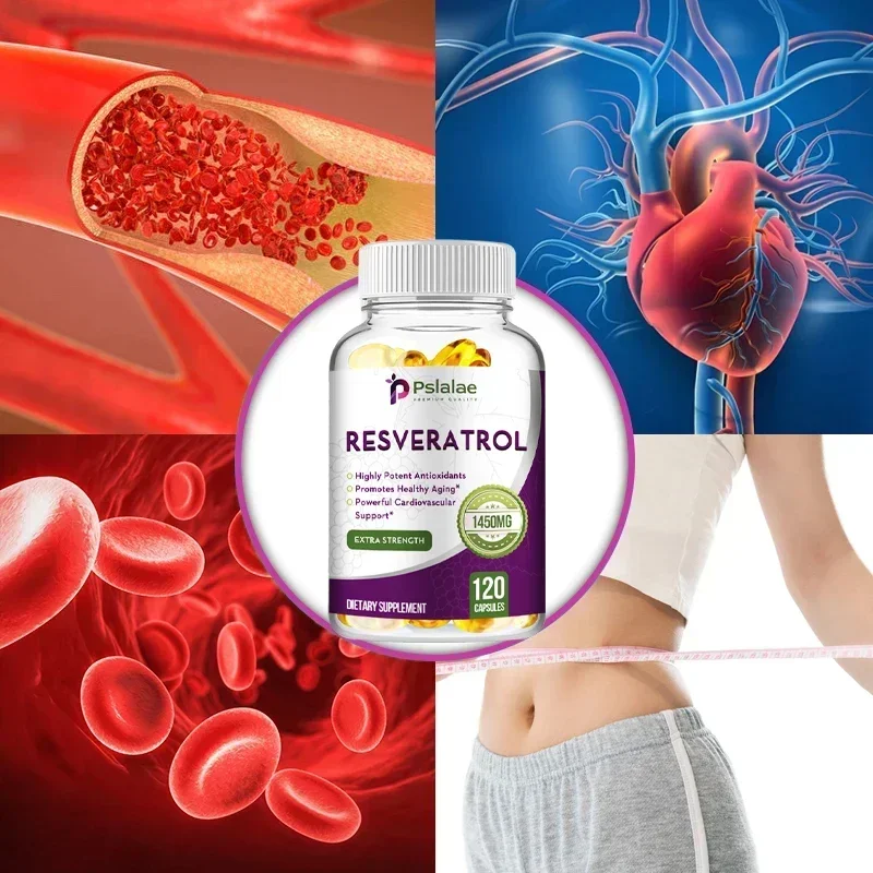 Resveratrol - Enhance The Immune System, Promote Skin Smoothness, Metabolism