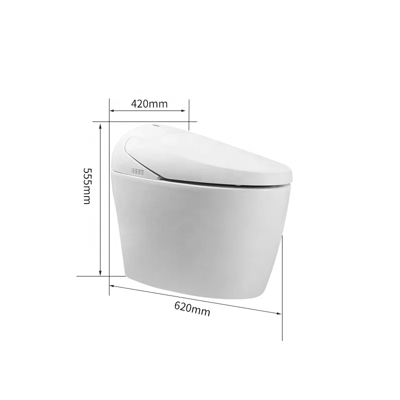 

110v/220v Cheap Bathroom Smart Water Closet Foot Sensor Intelligent Electric Bidet Automatic Wc Smart Toilet Bowl