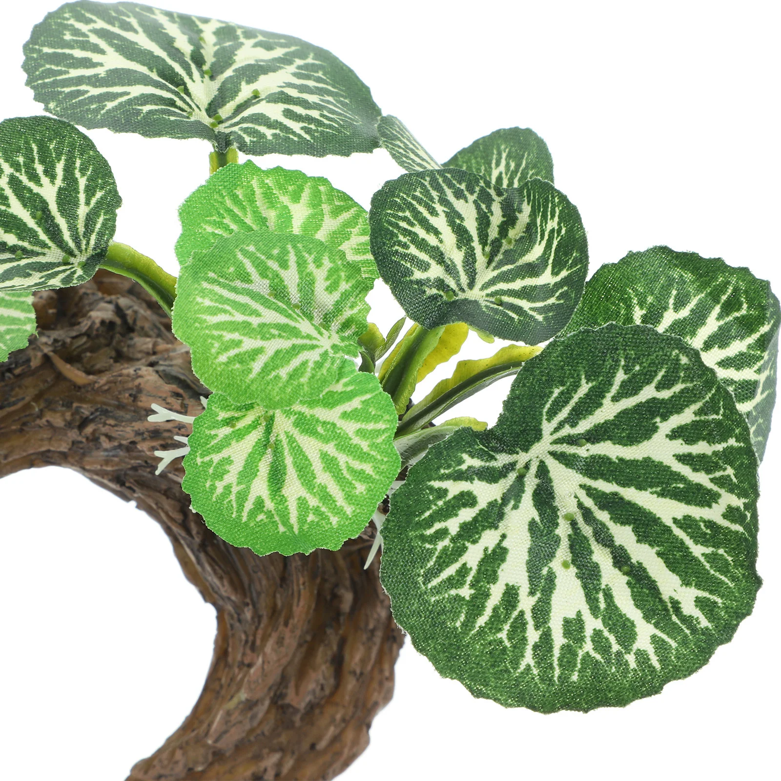 

Realistic Reptile Plants Ornament for Terrarium Aquarium Fish Tank Artificial Plant Decor Simulation Landscape Hiding Spot