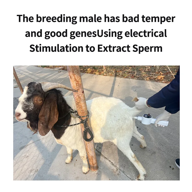 Cow Artificial Vagina Semen Collector Complete Set for Bull Breeding Insemination