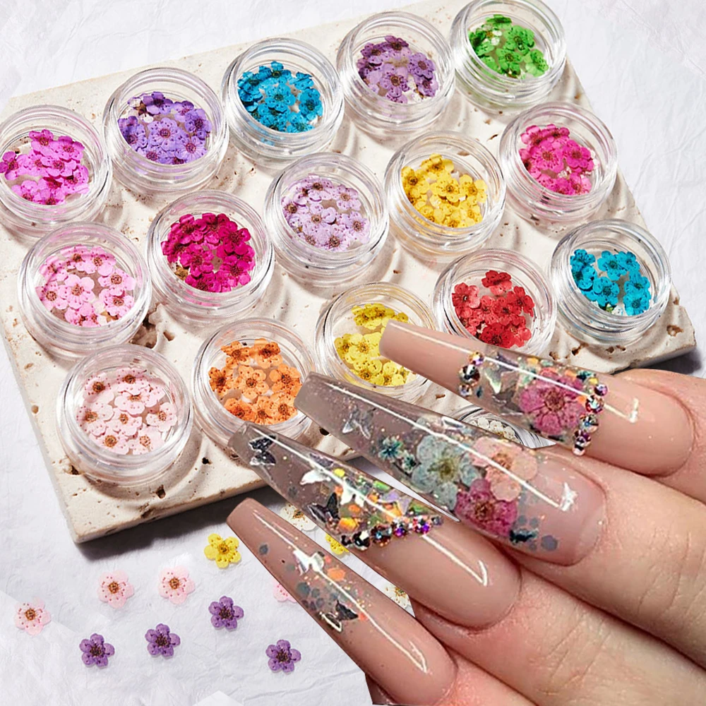 160Pcs/Set  Mixed Dried Flowers for Nail 16Colors Mini Real Natural Dry Flowers Nails Decoration DIY Creative Manicure Supplies