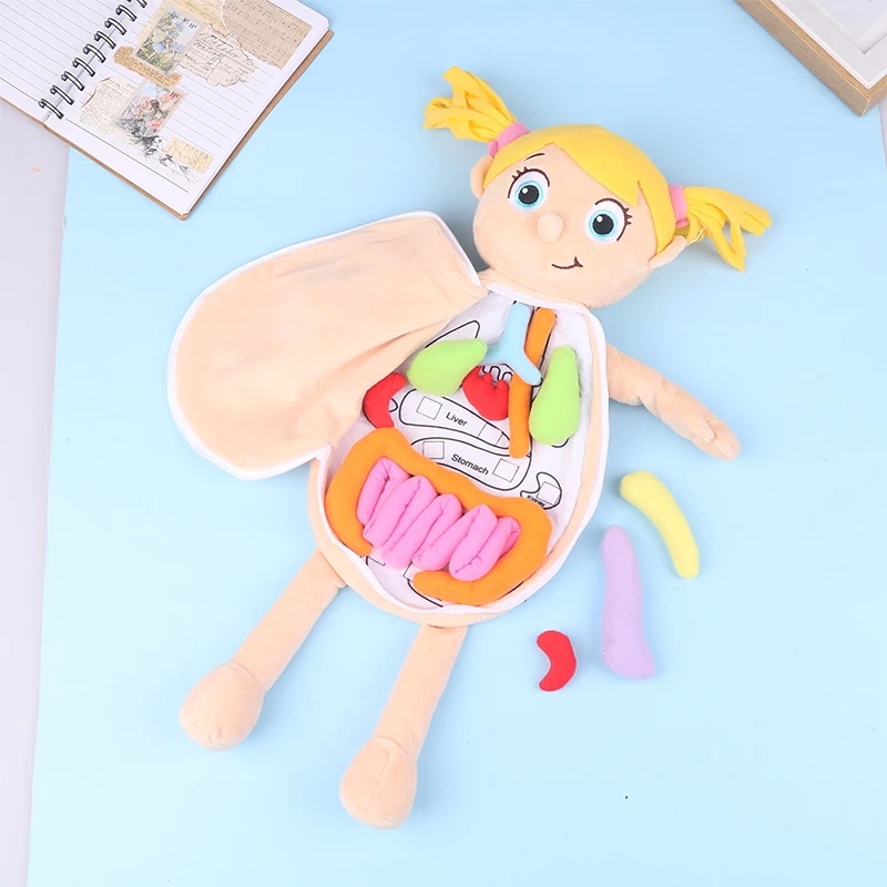 Kid Montessori Toys 3D Puzzle Human Body Anatomy Doll Body Organ Teaching Aids Human Body Anatomy Plush Toy