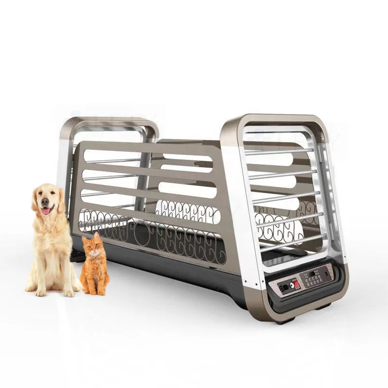 Electric Pet Treadmill for Dogs and Cats, Animal Exercise Machine, Dog Training Fitness Equipment, Adjustable Speed Silent Motor