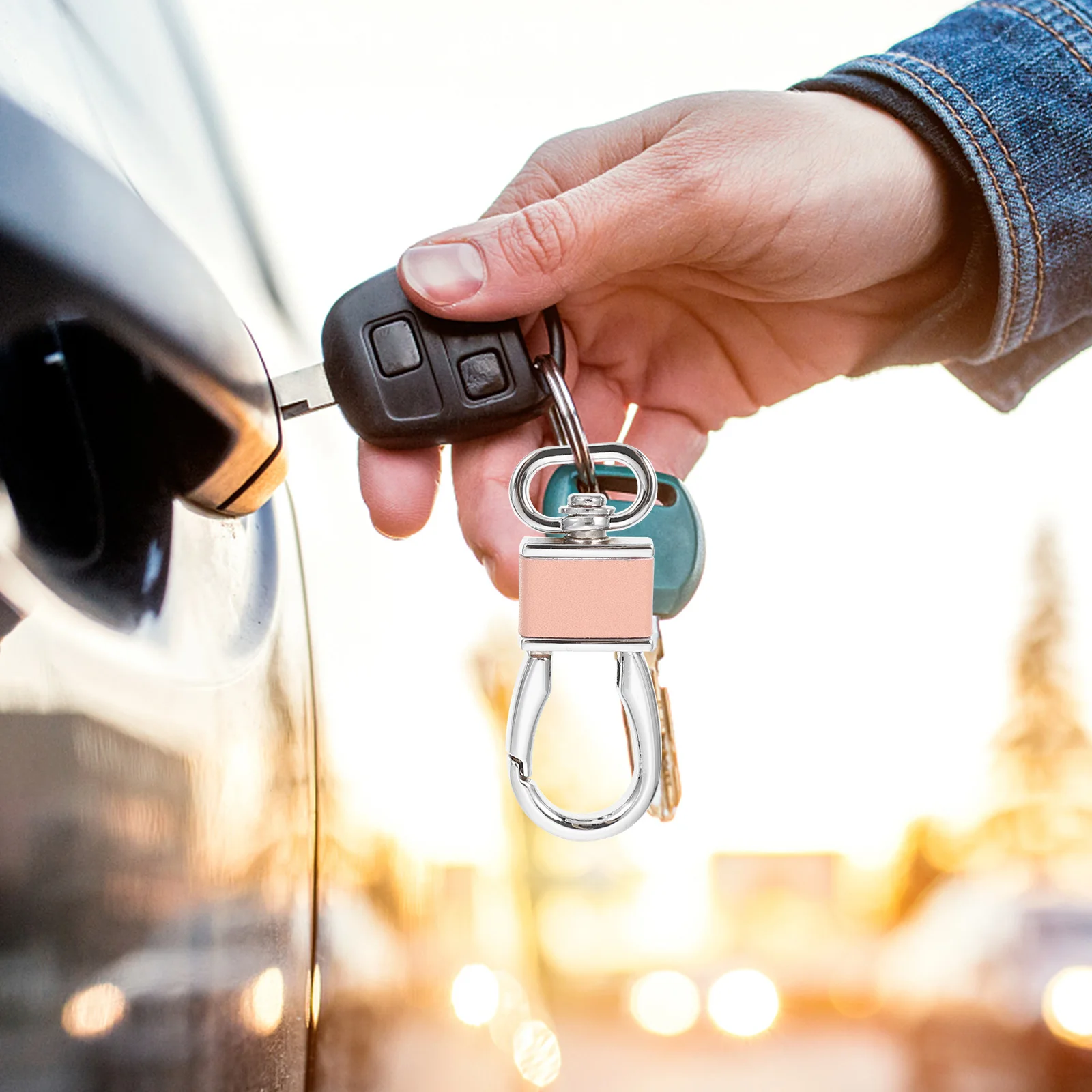 

4Pcs Metal Carabiner Keychain Heavy Duty Clip Holder for Car Keys Home Key Ring Organizer Carabiner Keychain Key Rings