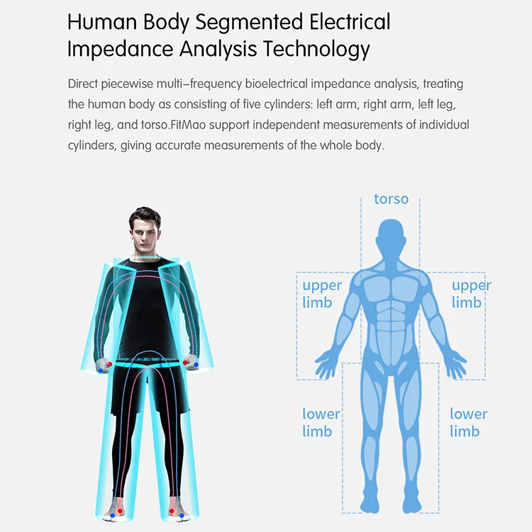 Delapan elektroda skala Patened profesional bioimpedansi biokimia penganalisa protein lemak tubuh penuh