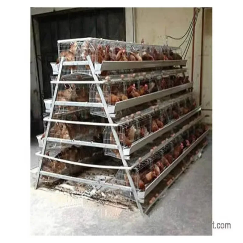 Automatic Galvanized Chicken Poultry Battery Cage Steel Egg Layers Cage for Poultry Farm House Hot Sale