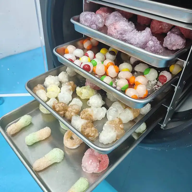 Hot Sale 4kg 6kg Commercial Vacuum Freeze Dryer Coffee Freeze Dryer Machine With Compressor