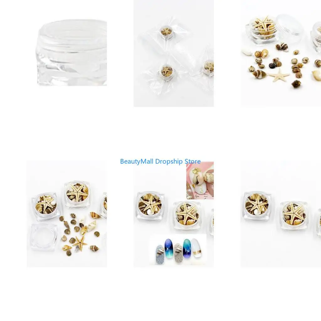 40JD Seashell Art Charms Natural Seashell for Shell Conch Pendant Mini Shells For Crafts Charms