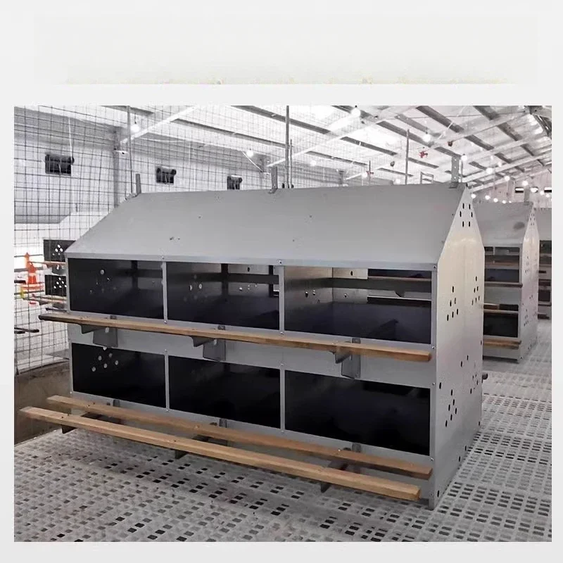 Hen Laying Box Chic…