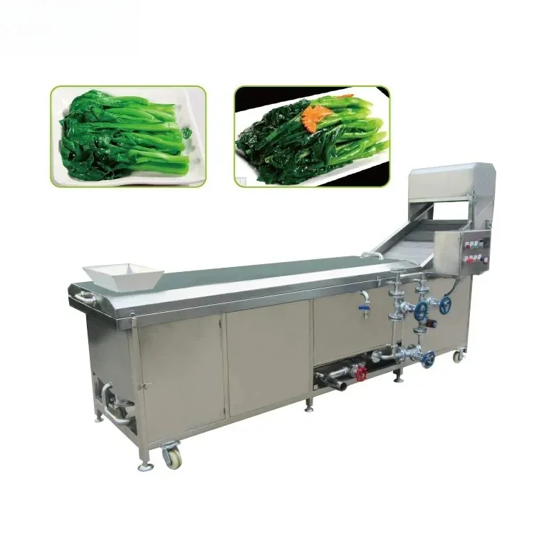 Heavy Duty Industrial Stainless Steel Vegetable Blanching Machine/ Fruit Bleacher