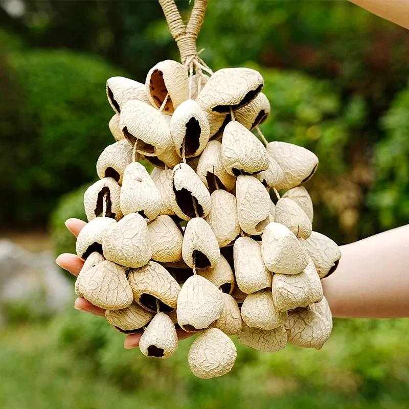 

Natural Handbell Fruit Ringing Bell Yoga Meditation Wind Chimes Sound Healing Musical Bells Percussion Instrument Gift