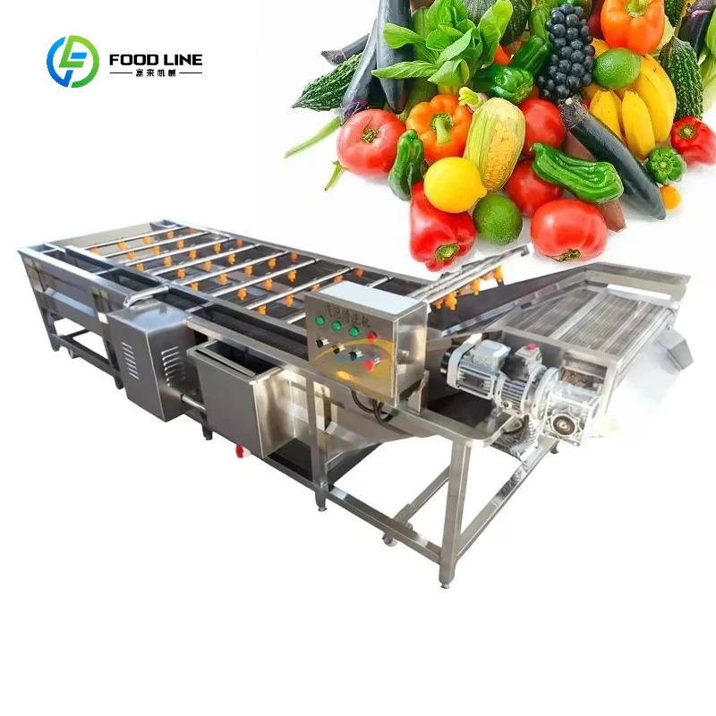 2026 New Commercial Fruit Washer Machine / Fruit and Vegetable Washer / Bubble Washing Machine Customized