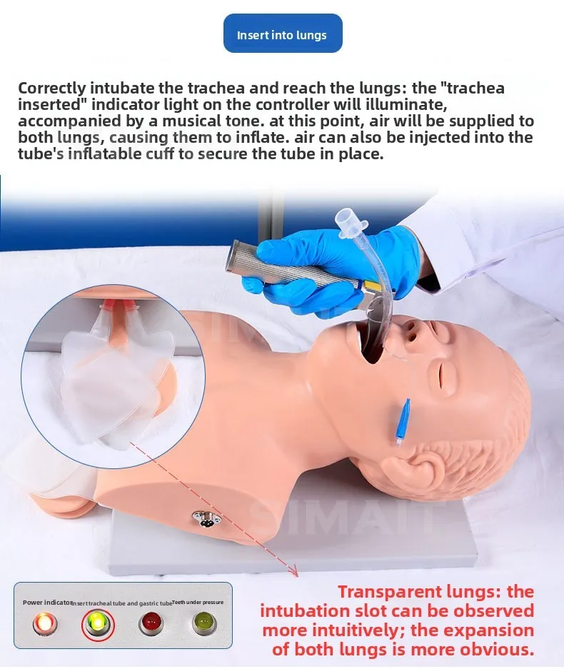 1:1 Life Size Airway Intubation Training Manikin | Electronic Simulator with Teeth & Pressure Feedback for Practice