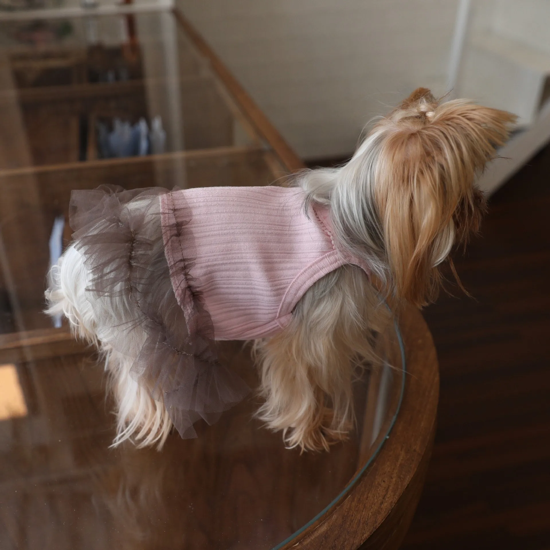 Chaleco de malla rosa para gatos y perros – Falda y ropa Yorkshire - imagen 3