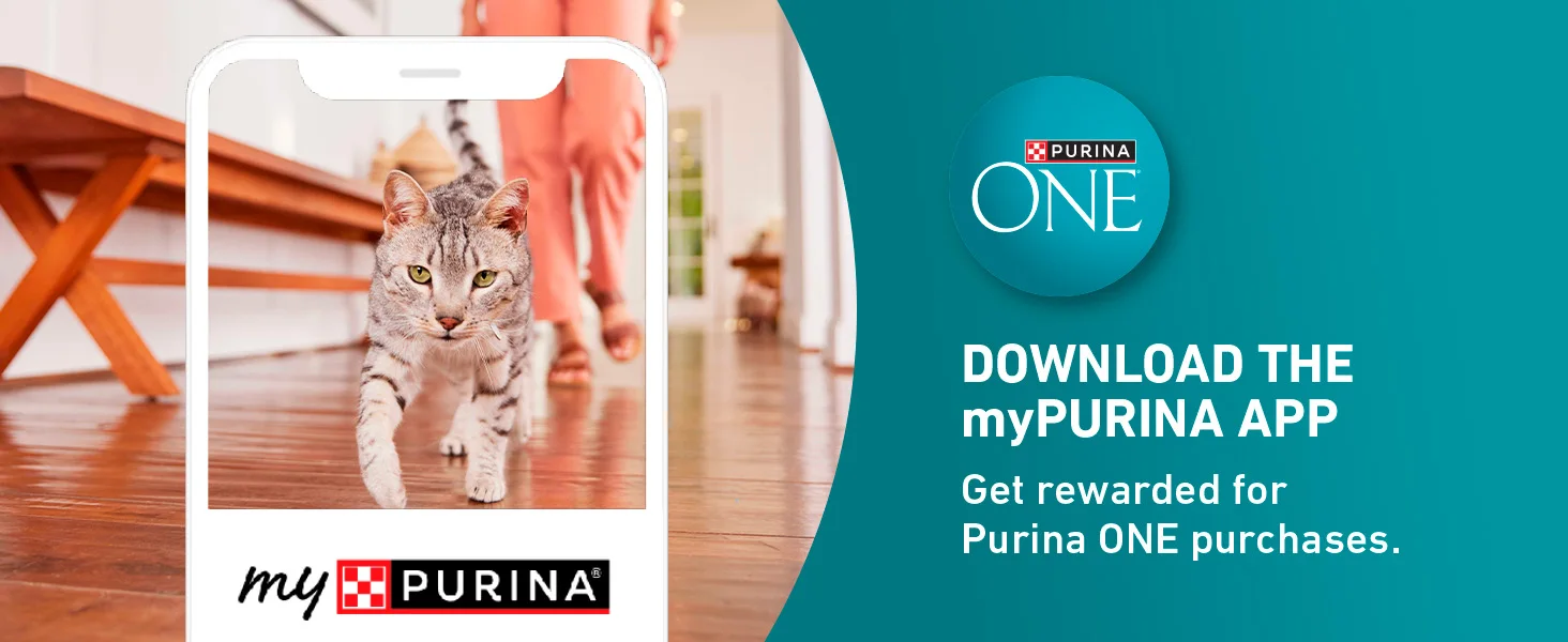 ONE myPurina App info next to cat