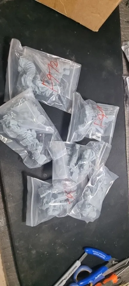 Buyer photo of this resin kit