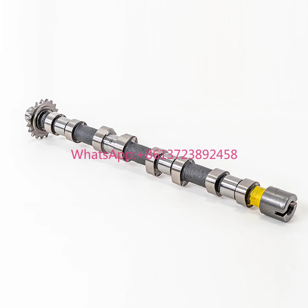 Raceorly Camshaft for Citroen C5 C6 Peugeot 407 508 2.2L HDi Engine 4HP 4HT OEM LR021913 Auto Parts