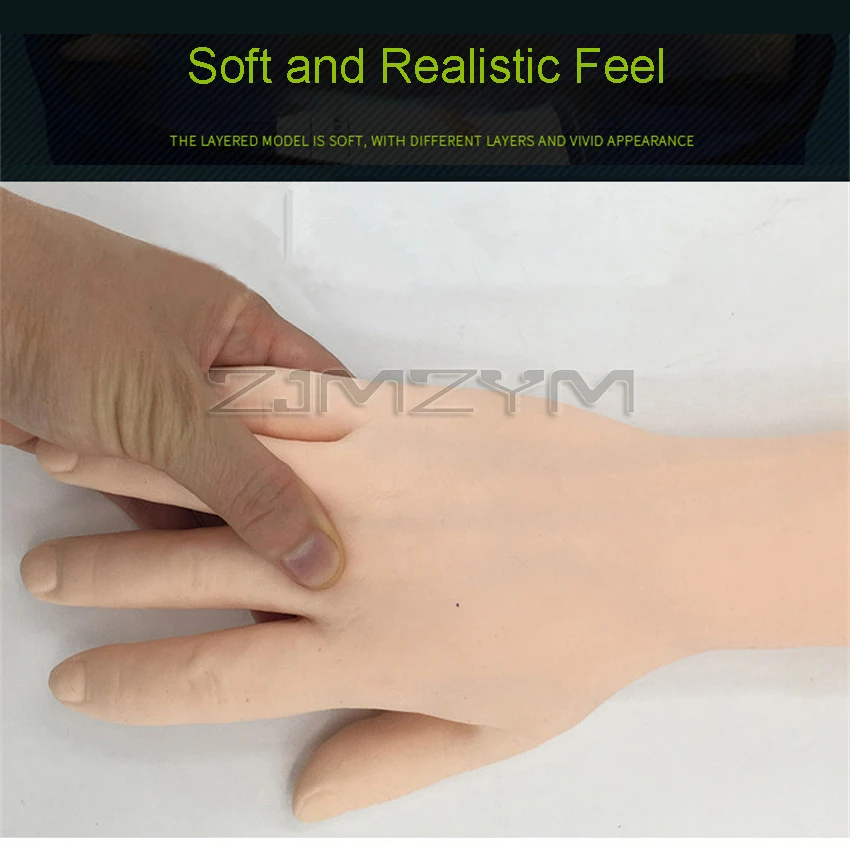 Advanced arm Anatomical Phlebotomy Venipuncture Practice Model anatomyInjection practice Medical Simulator Nurse Training kit