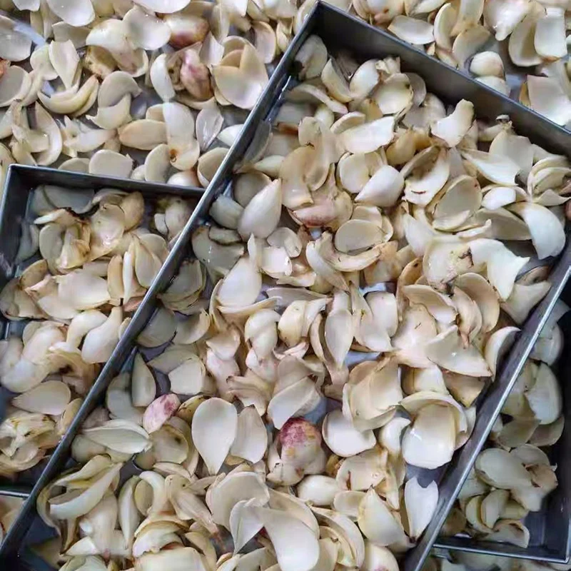 Mushroom Fruit Vacuum Dryer Dehydrator Machine Dried Candy Skittles Food Sweets Strawberries