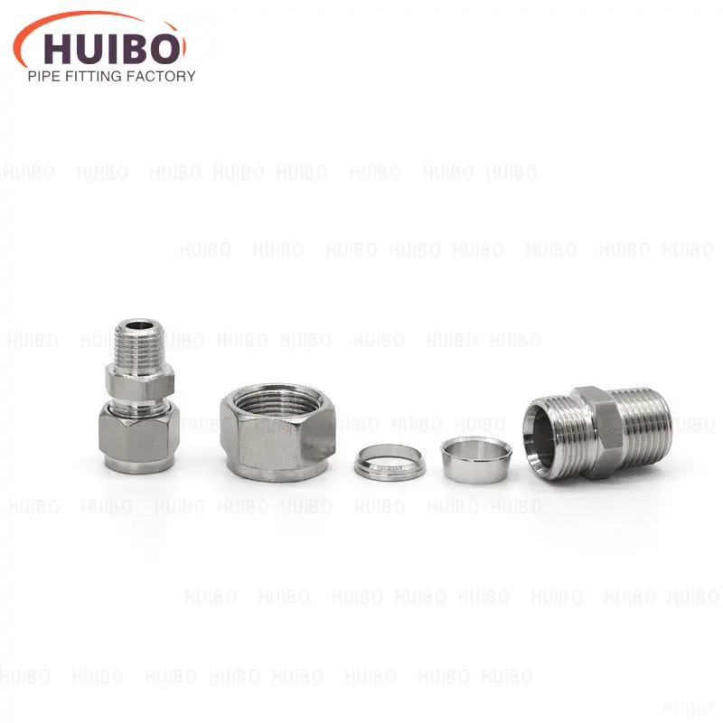 Aço inoxidável Duplo Virola Anel Conector de Compressão, macho NPT Encaixe de tubulação, 6mm ~ 25mm Tubo, 1/8 pol, 1/4 pol, 3/8 pol, 1/2 pol, SS