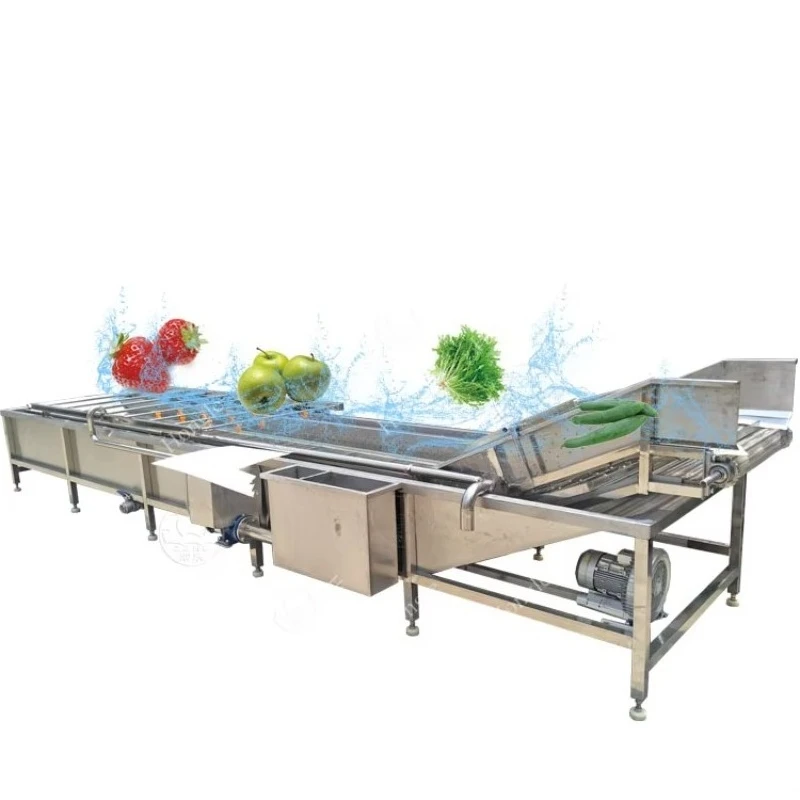 Automatic Air Bubble Fruit Vegetable Washer Ozone Cabbage Potato Carrot Washing Machine Custom