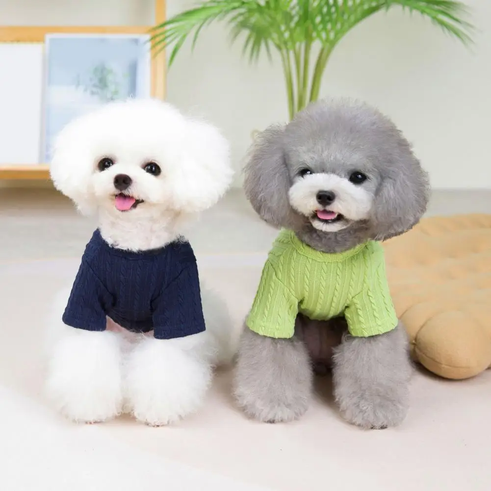 Pet Vest Cartoon Pictures Soft Comfortable Fade-Resistant Keep Warm Solid Color Lint Free Teddy Dog Sweater Winter Clothing for