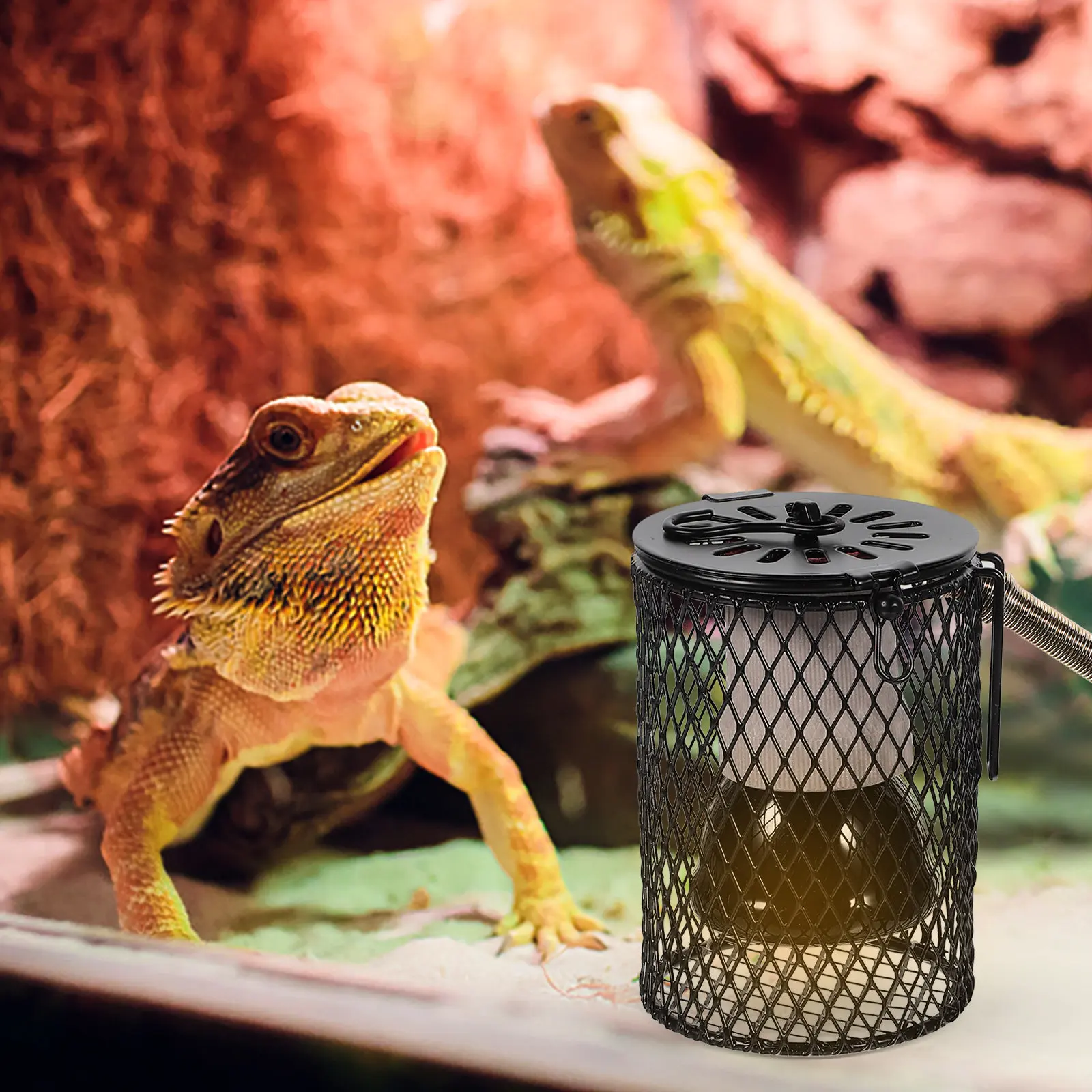 Lampada Riscaldante per Rettil - Gecko Lighting & Decor recensione e prezzo