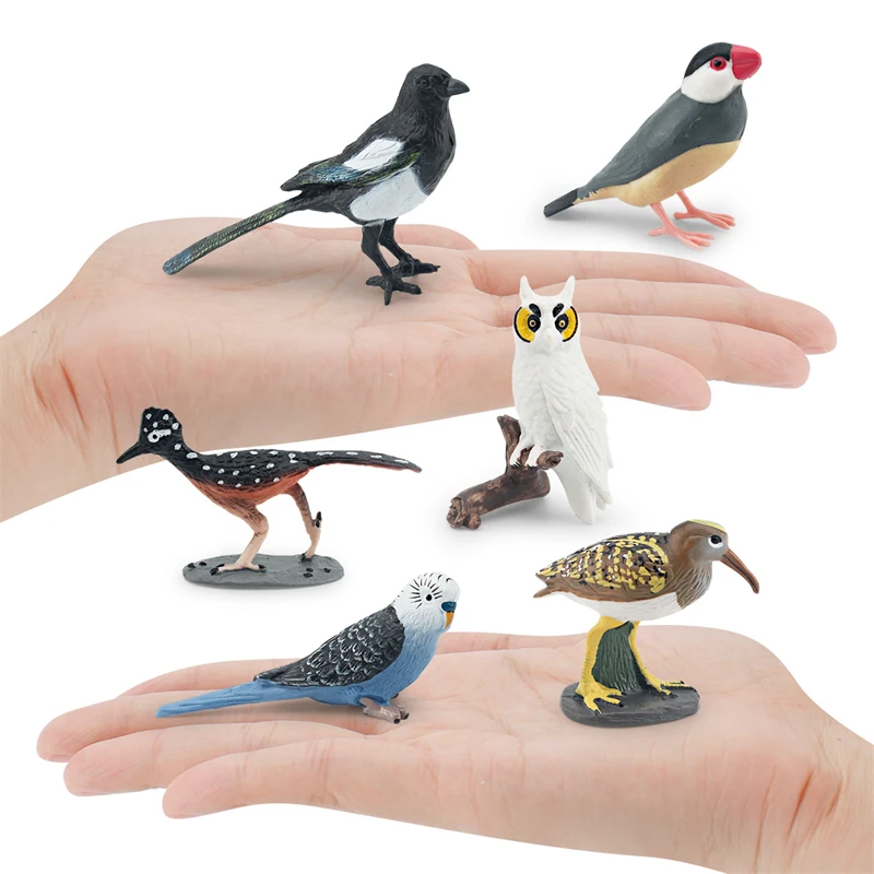 Figurine d'oiseau de forêt l'inventaire réaliste, théâtre, perroquet Toucan, aigle, modèle d'animaux, figurines d'action, jouets de renforcement pour enfants