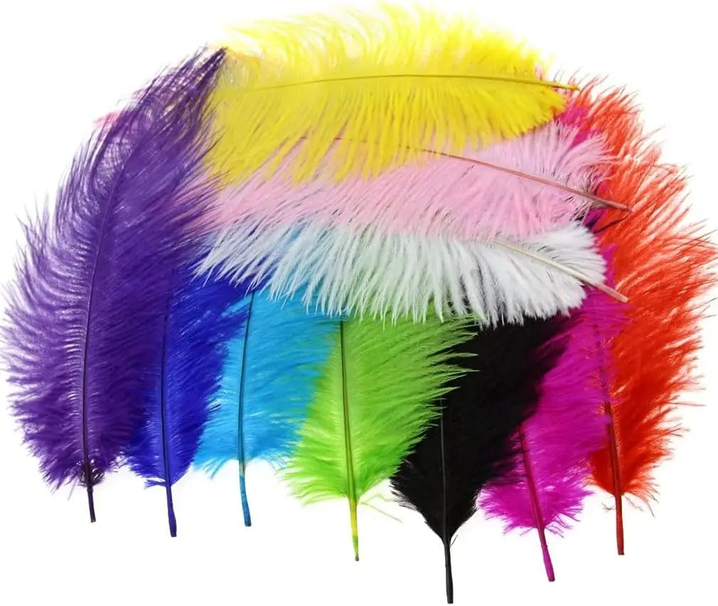 

100Pcs Of Ostrich Feathers in 10 Colors Mixed 25-30cm Suitable For Various Handicrafts Home Decoration Christmas Birthday Party