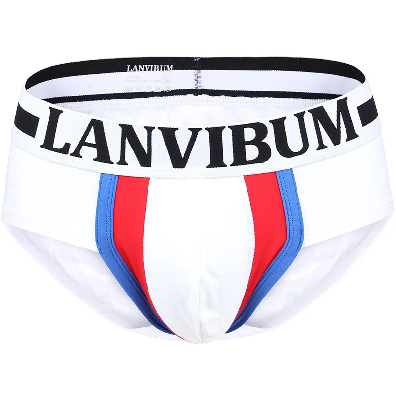 Men Transparent Briefs Cotton Boys Underwear Calzoncillos Ropa Interior Sexy De Hombre трусы мужские плавки
