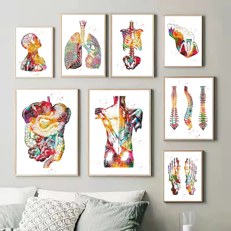 Human Structure Anatomy Muscles System Canvas Paintings Heart Lungs and Bones Poster Prints Medical Enthusiasts Wall Art Gift