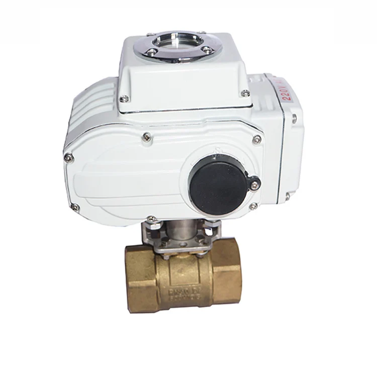 Electric DC 24V/AC 220V 0-10V/4-20mA Proportional DN25-DN50 2-Way Electric Brass Control Valve IP65 Protection Rating