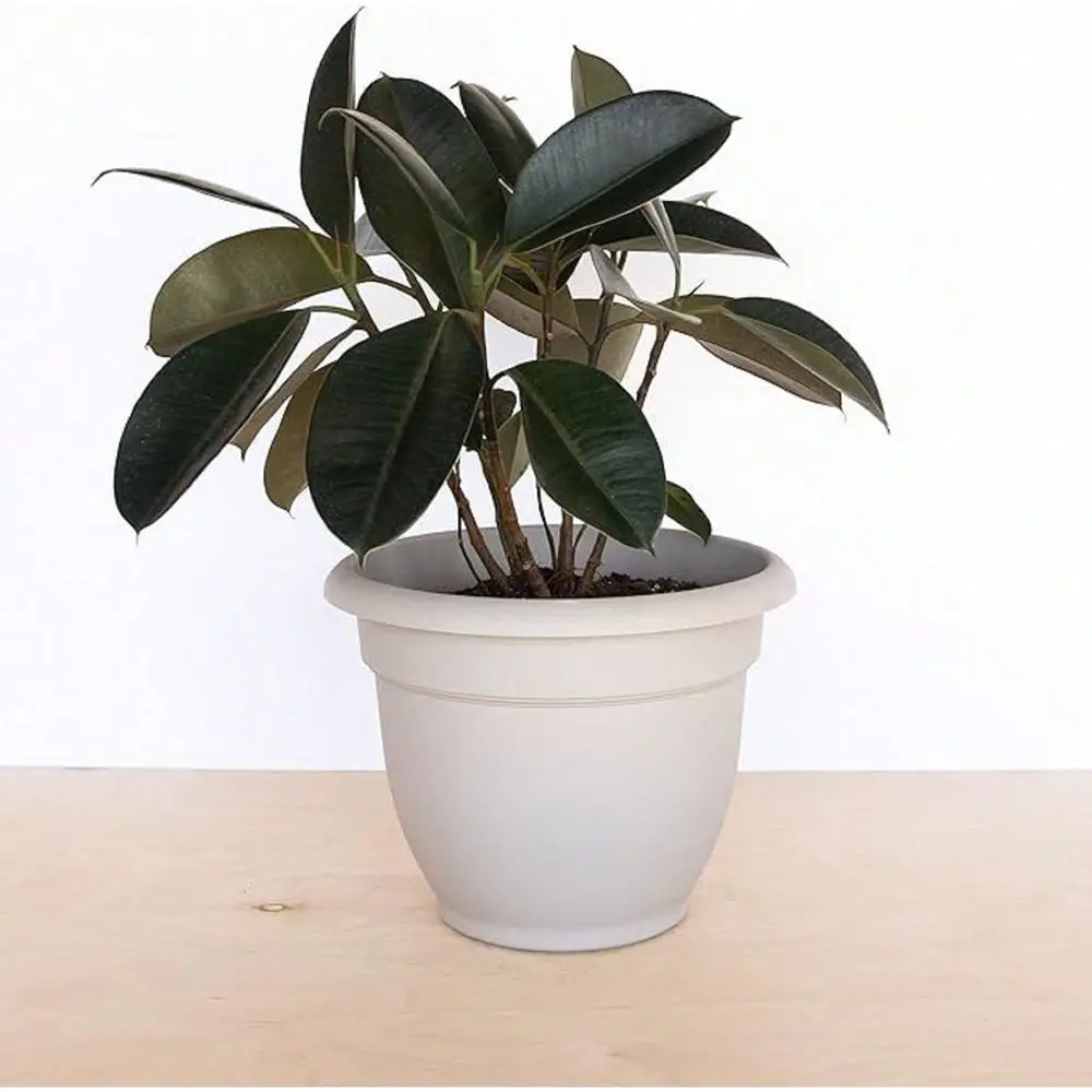 

Pebble Stone Durable Resin Pot, For Indoor And Outdoor Use, Self Watering Disk Included, Gardening, 3 Gallon Capacity