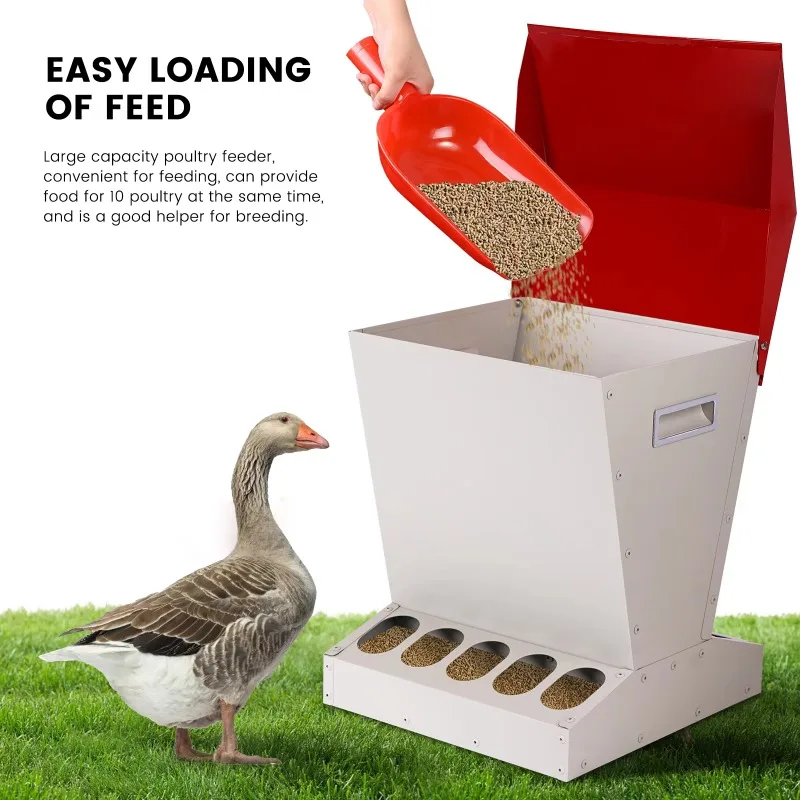 Alimentador automático de frango de alta qualidade, alimentadores de aves para galinhas, 10 furos, calha de alimentação de frango para venda